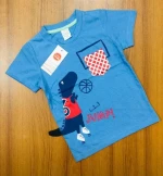 Boys Short sleeve chest print tee shirt