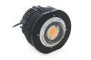 Cree 100w 200w Cob Led Grow Lights With Cree Cxb 3590 Chips And Meanwell Driver﻿