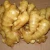 Import Fresh Ginger from South Africa