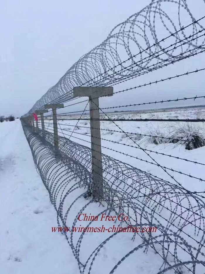 Buy Concertina Wire Concertina Coils Razor Wire Factory from China
