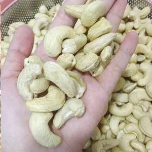 Wholesale top grade Dried Cashew Nuts