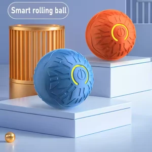 2024 New Dog Toy Ball Rubber Pattern Accompanied Walking Dog Ball Tool Solid Elastic Ball Smart Dog Toy Pet Interactive