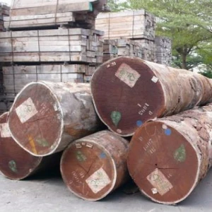 Beech Wood Timber for sale
