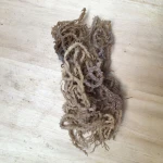 Seaweed