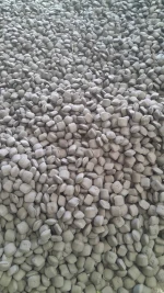BBQ Briquettes Charcoal