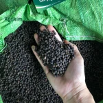 High-Quality Premium Black Pepper 500GL 550GL - Bulk 25kg Bag for Food Industry