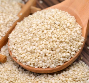 High Oil Content and High Yield White Sesame Seeds