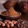 Premium cocoa powder