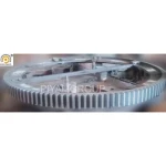 100 TPD High-Quality Cooler Girth Gear For Industrial- Piyali Group, India