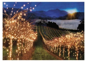 Vineyard lights