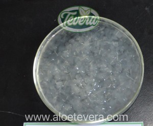 TEVERA ALOE Aloe Vera Gel Diced Conventional Organic Aseptic Bag