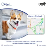 Pet tracker personal tracker asset tracker