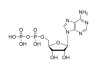 ADP·Free Acid Cas No. 58-64-0