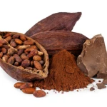 Dried Cocoa Beans for Sale Bulk Export Manufacturer Supplier Wholesale