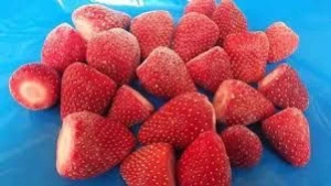 Frozen Fruits