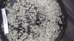 1121 White Sella Basmati Rice