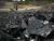 Import COAL from Indonesia