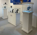 Jewelry Display Showcase