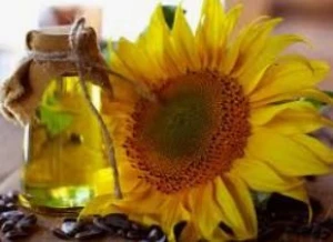 HIgh Quality Sunflower Oil