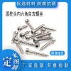 304 stainless steel cylinder head hexagon tapping bolt M2 | m3 | M4 cup head and tip tail self tapping screw