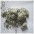 Import High purity powder green silicon carbide for grinding wheels refractory ceramics from China