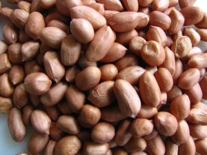 Best Price Wholesale Organic Peanut Kernels For Sale