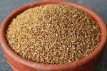 Himalayan Barnyard Millet