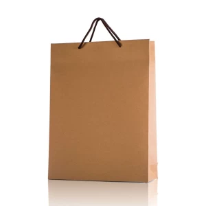 Recyclable Craft Paper Packaging Bags, Paper Bags