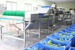 Mango Treatment Plant
