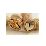 Walnuts for Sale Export Quality Walnut Kernels Wholesale Supplier