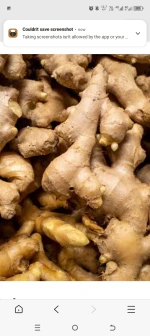 Ginger
