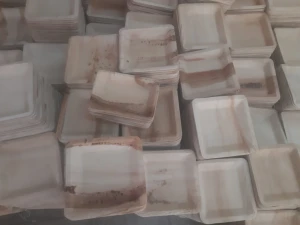 palm leaf plates and bowls