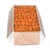 Import Natural Healthy Dried Apricots Sweet Apricots Bulk Packed Premium Quality Fresh Snack Direct From Factory from South Africa