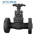 Forged Steel Gate Valve