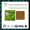 100% Natural Purslane Extract / Herba Portulacae Extract 20:1/portulaca Oleracea L Plant Extract