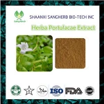 100% Natural Purslane Extract / Herba Portulacae Extract 20:1/portulaca Oleracea L Plant Extract