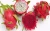 Import 100% Organic block red dragon fruit from Vietnam