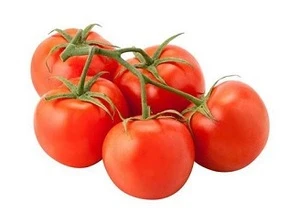 100 % Organic Fresh Tomatoes.