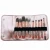 Import 10PCS Synthetic Hair Cosmetic Brush Set with PU Bag from China