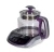 Import 110v  high quality  intelligent voice multi-functions electric kettle temperature control glass from China