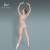 119141011 Baiwu Dance Long Sleeve Lace Leotards Ballet Dancewear Leotards for Women