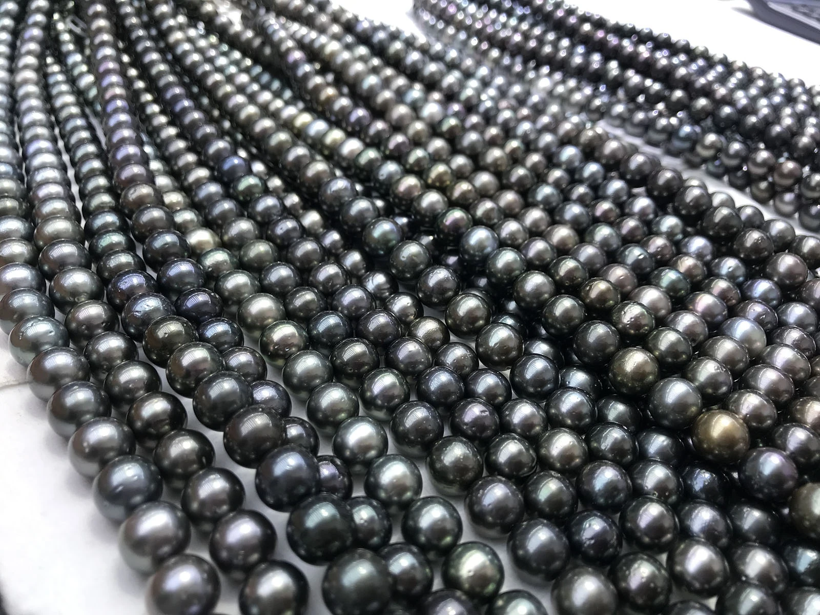 16 inch,wholesale bulk price 10-12 mm good luster A+ round nature loose tahitian pearl