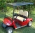 Import 2 seater solar electric golf cart for hunting from China