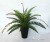 Import 2016 artificial plant wall accessory artificial plastic ferns for garden landscaping from China