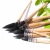 Import 20RQ paint brushes squirrel hair watercolor art brush short wooden handle art supplies brushes pens for artist drawing painting from China