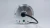 Import 24V 36V 48V Electric Bike Motor/E-bicycle Disc-brake Rear Wheel Hub Motor from China