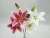 Import 3D High Quality Real Touch Lily Flower Artificial Flower from China