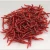 Import 4cm Simulation red Earthworm Worms Artificial Fishing Lure Tackle Soft Bait Lifelike Fishy Smell Lures from China