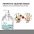 Import 500ml Private Label  Liquid Hand Soap,christmas liquid hand soap from China