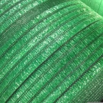 70gsm plain weaving shade net in East South Asia market